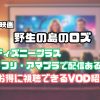 野生 の 島 の ロズ 何で 見れる
